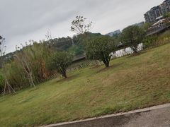 -飞凤山奥体公园