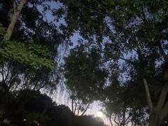 -康庄公园