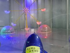 -陕西自然博物馆