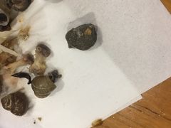 -螺大蛳柳州螺蛳粉·火锅·热干面(西城永捷店)