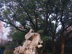 -中山公园