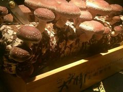 -大头椰·椰子鸡火锅(南宁万象城店)