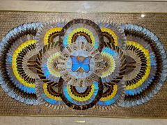 -上海昆虫博物馆