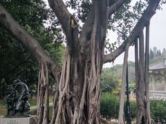 -广州雕塑公园