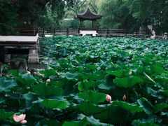 -范蠡湖公园