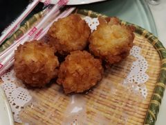 -丁老爷子苏香圆