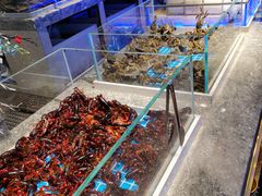 -一方渔歌蒸汽海鲜自助(文化路万达广场店)