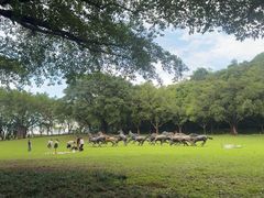 -广州雕塑公园