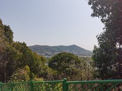 -香雪海