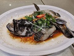 -恒宝和宴(合生广场店)