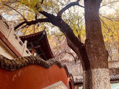 -千佛山风景名胜区