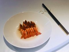-信园
