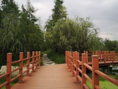 -才村湿地公园