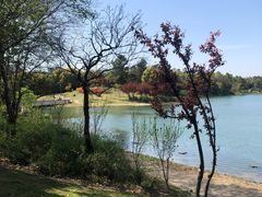 -美兰湖景区
