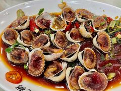 血蛤-长平老姿娘夜粥(平东一街店)