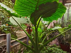 -凤来栖·净庭院·火锅(欧尚店)