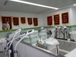 -悟空祛痘·专业祛痘机构