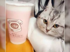 -厝内小眷村(正阳步行街店)