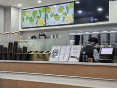 -雾与山茶(大禹城店)