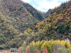 -狮子沟牧场