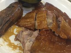 潮式明炉烧鸭-琼菜王(南海店)