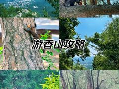 -香山公园