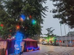 -陶然花园·婚宴