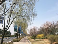 -南戴河旅游度假区