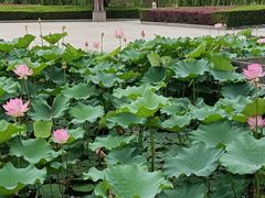 -中国计量大学(西校区)