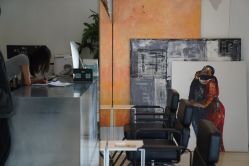 -Hair  Gallery