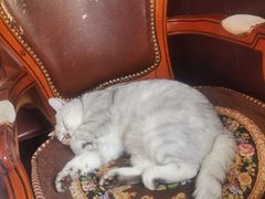 -不舍昼夜咖啡馆