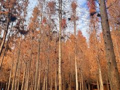-捞渔河湿地公园