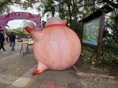 -观澜湖生态运动公社