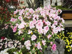 -惠山古镇·寄畅园