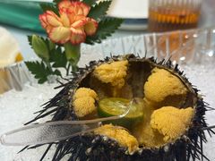 生海胆-日月昇渔家菜·海肠捞饭·大连海鲜(星海公园店)