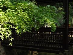 -惠山古镇·寄畅园