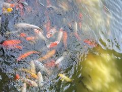 -珠海圆明新园