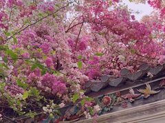 -深圳国际园林花卉博览园