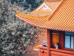 -深圳仙湖植物园