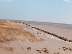 -南汇嘴观海公园