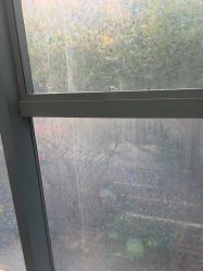 -广州美莱医疗美容医院