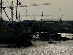 -养马岛旅游度假区