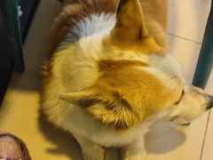 -平行世界·猫咖(首经贸店)