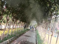 -武汉紫薇都市田园