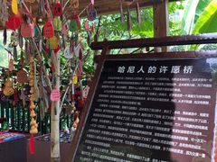-西双版纳原始森林公园