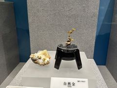 -贵州省地质博物馆