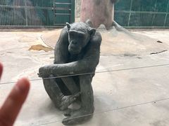 -石家庄市动物园