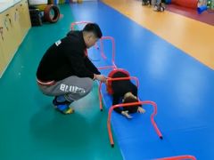 -能量小象·感统·专注力·语言(崂山校区)