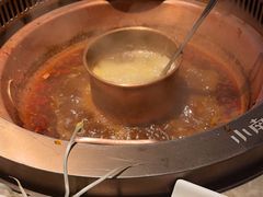 -小南房鲜美蛙火锅(北苑店)