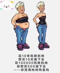 -Fundi张玉珊修身堂·indiba·BTL科技瘦身